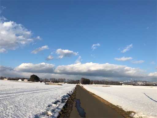 f:id:aonekoon:20200126210024j:image