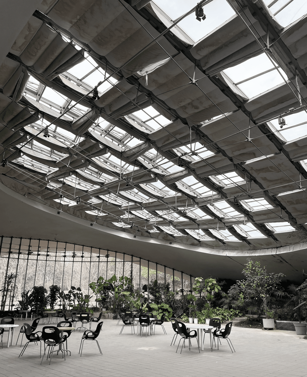 天窓がいくつかあり、奥には植物がある建物内の空間