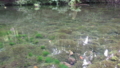 20140603105115