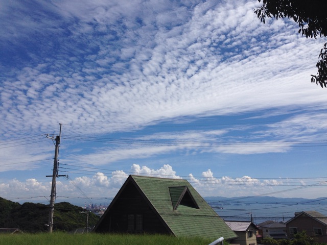 f:id:aonosmile:20150310183321j:plain f:id:aonosmile:20150310183321j:plain