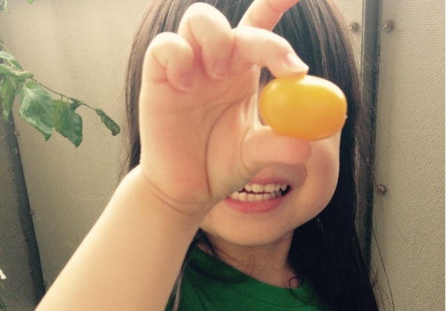 f:id:aonosmile:20150704095521j:image f:id:aonosmile:20150704095521j:image