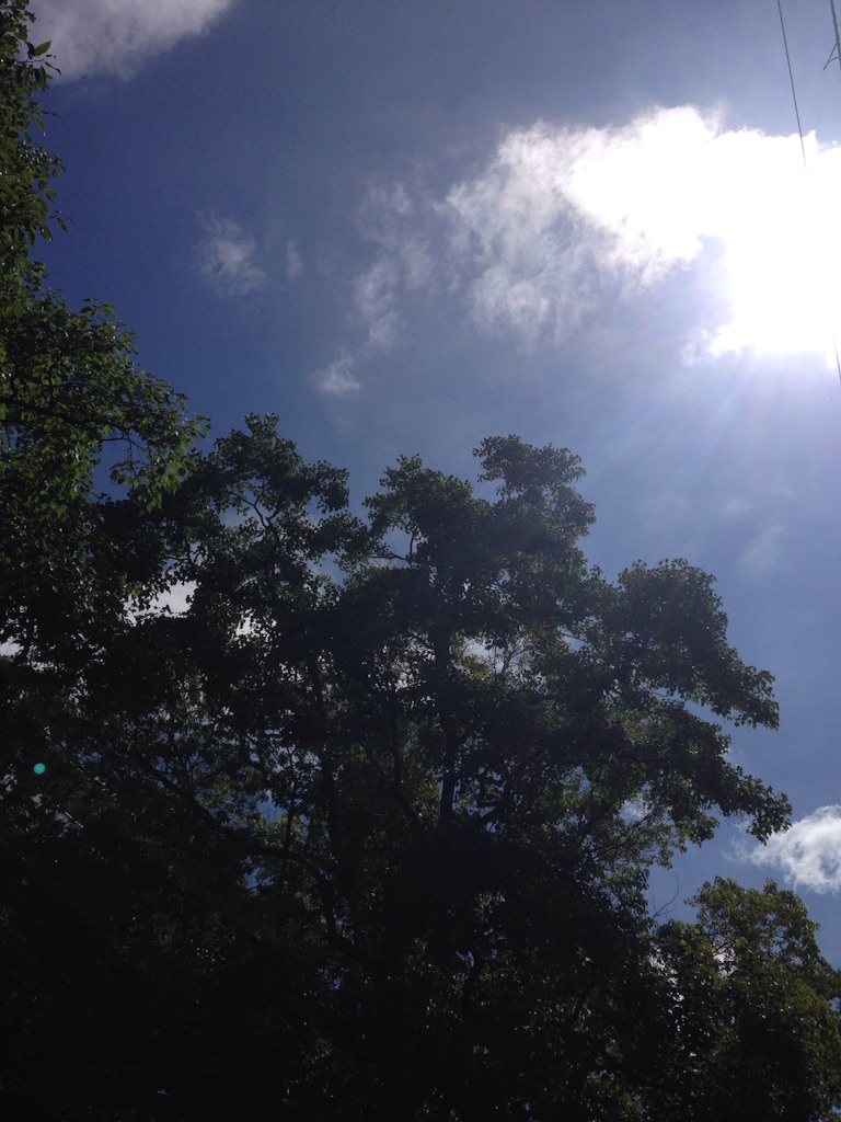 f:id:aonosmile:20150826100658j:image f:id:aonosmile:20150826100658j:image