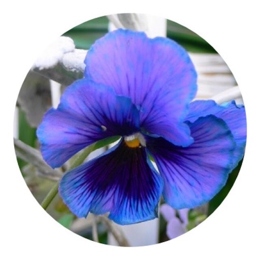 f:id:aonosmile:20180411121027j:image