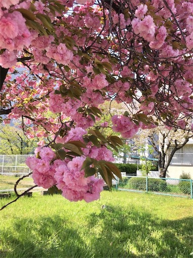 f:id:aonosmile:20180418114245j:image