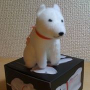 f:id:aont:20100215011220j:image f:id:aont:20100215011220j:image