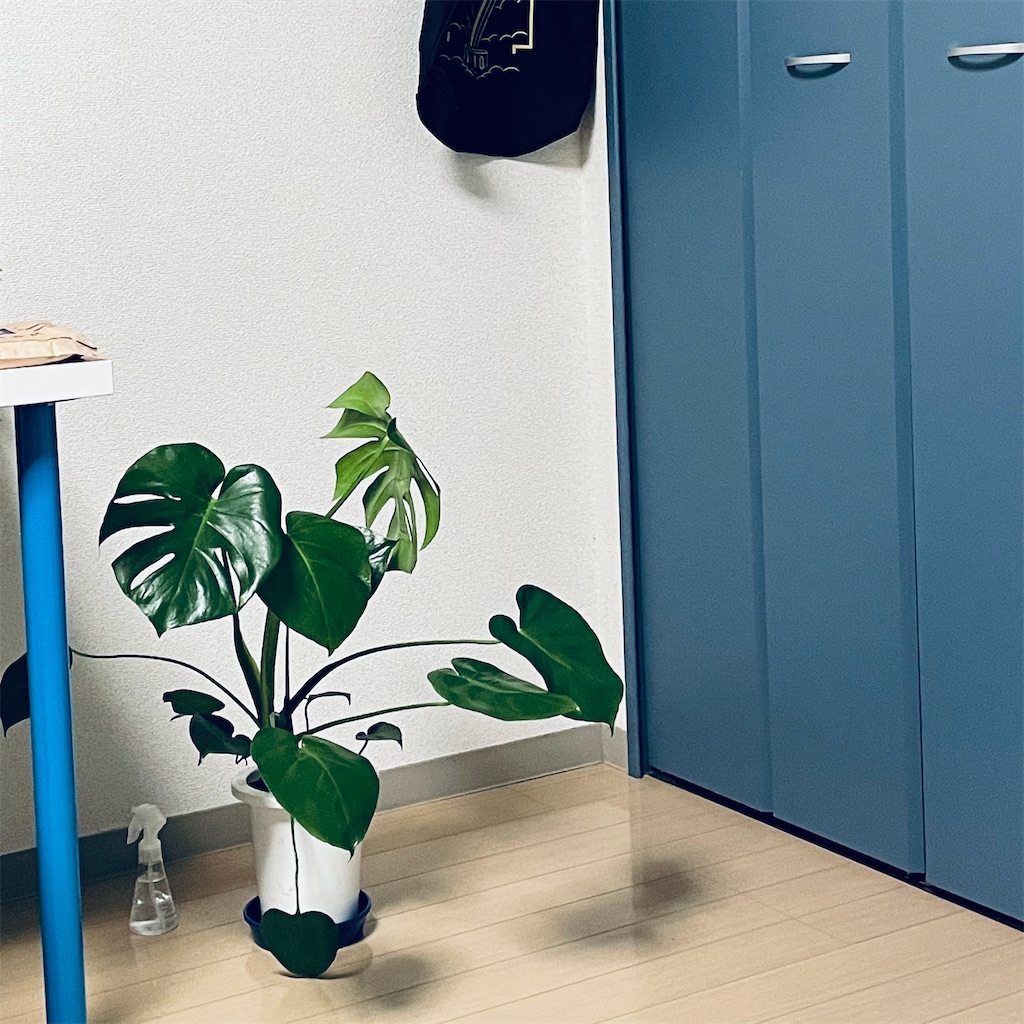 f:id:aooaao:20210131204622j:image