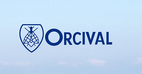 レディース Orcival オーシバル のボーダーワンピースが万能すぎて着回し必須 Stockroom ミニマリズムを纏う生き方