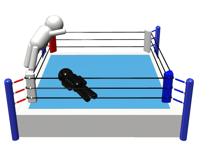 プロレスラーという存在のすごいところは何 アオペブログ