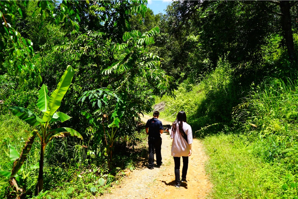 f:id:aopepepeee:20190912143804j:image f:id:aopepepeee:20190912143804j:image
