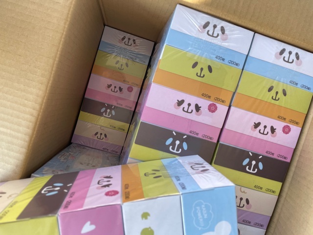 f:id:aopin:20210117223949j:plain