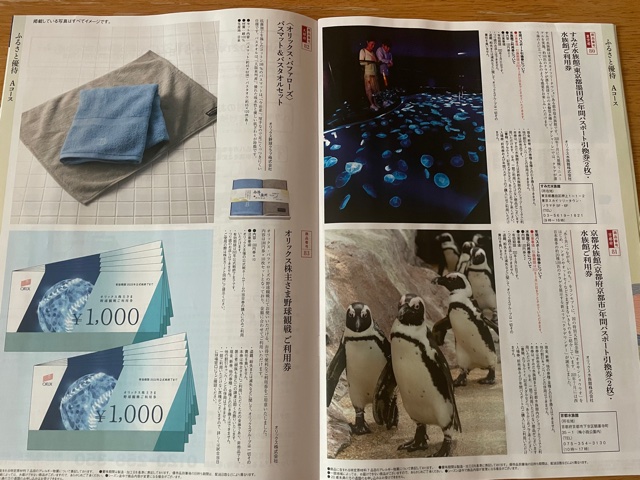 f:id:aopin:20210708230128j:plain