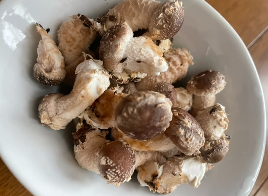 f:id:aopin:20220319223346p:plain