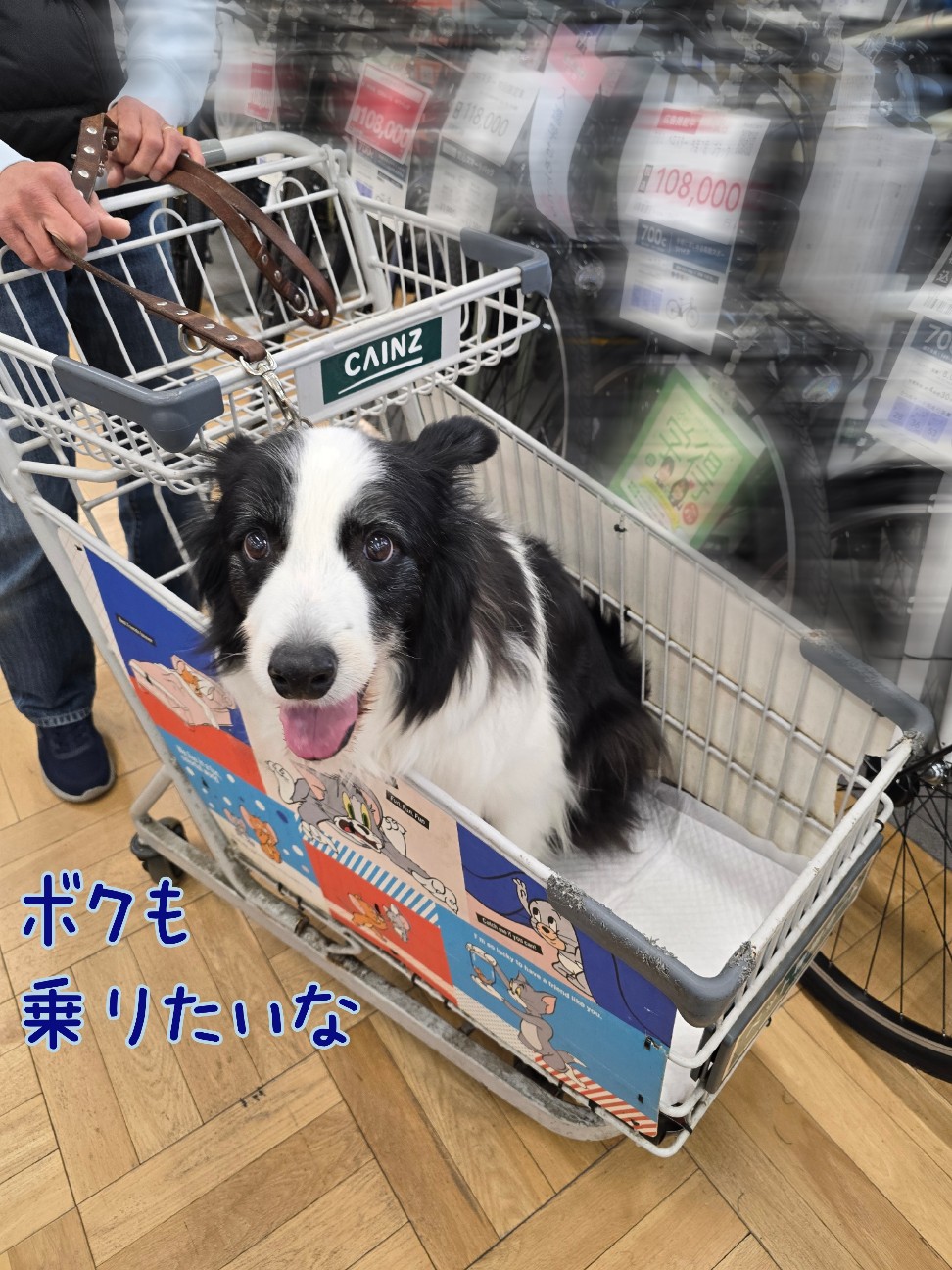 情報収集のおかいもの - セブンすヘブン Seventh Heaven