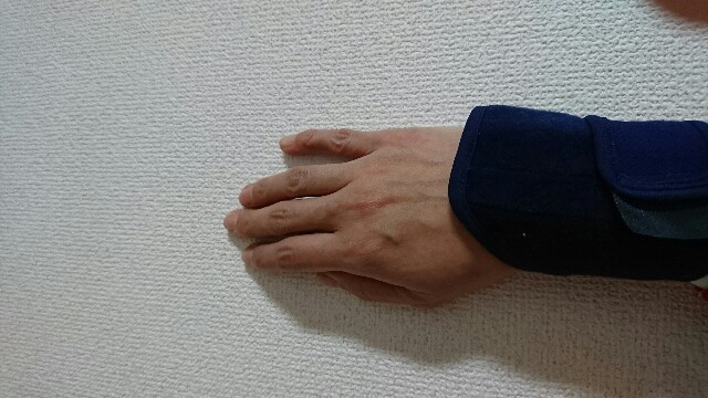 f:id:aora:20161228212124j:image f:id:aora:20161228212124j:image