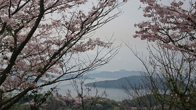 f:id:aora:20170410134139j:image f:id:aora:20170410134139j:image
