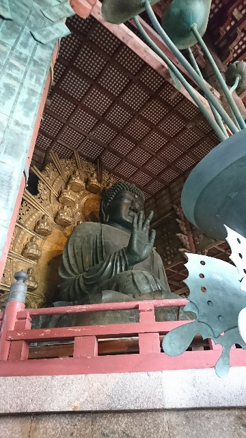 f:id:aora:20170621110854j:image f:id:aora:20170621110854j:image
