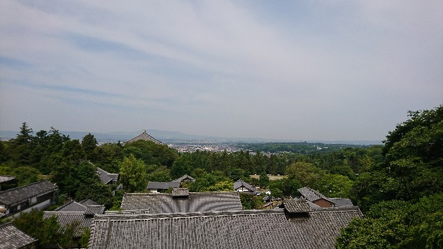 f:id:aora:20170621113059j:image f:id:aora:20170621113059j:image