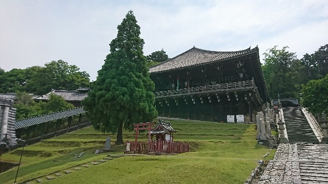f:id:aora:20170621113444j:image f:id:aora:20170621113444j:image
