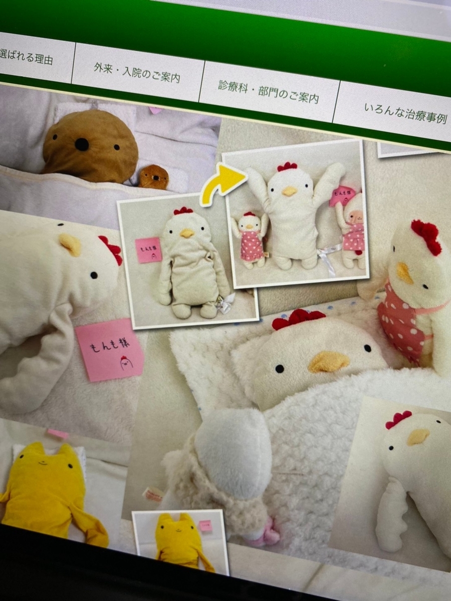 ネットで話題のぬいぐるみ病院に 大事な友達を預けてみた件 フリーダム人間あおりんの日常