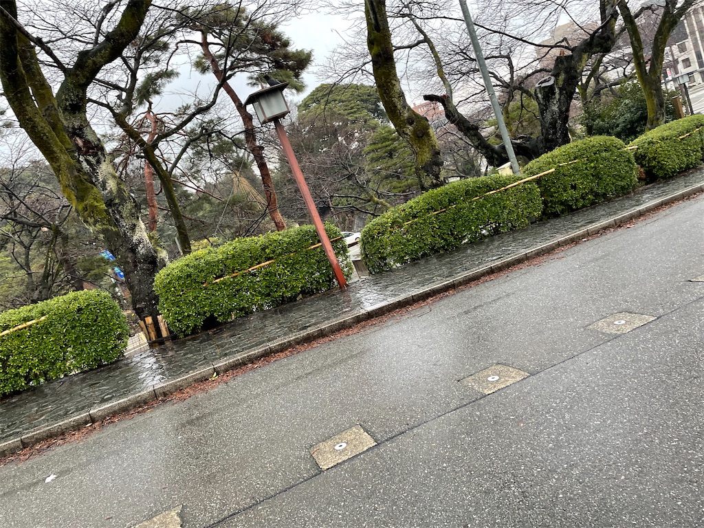 f:id:aoruchan501_1201:20240120232106j:image
