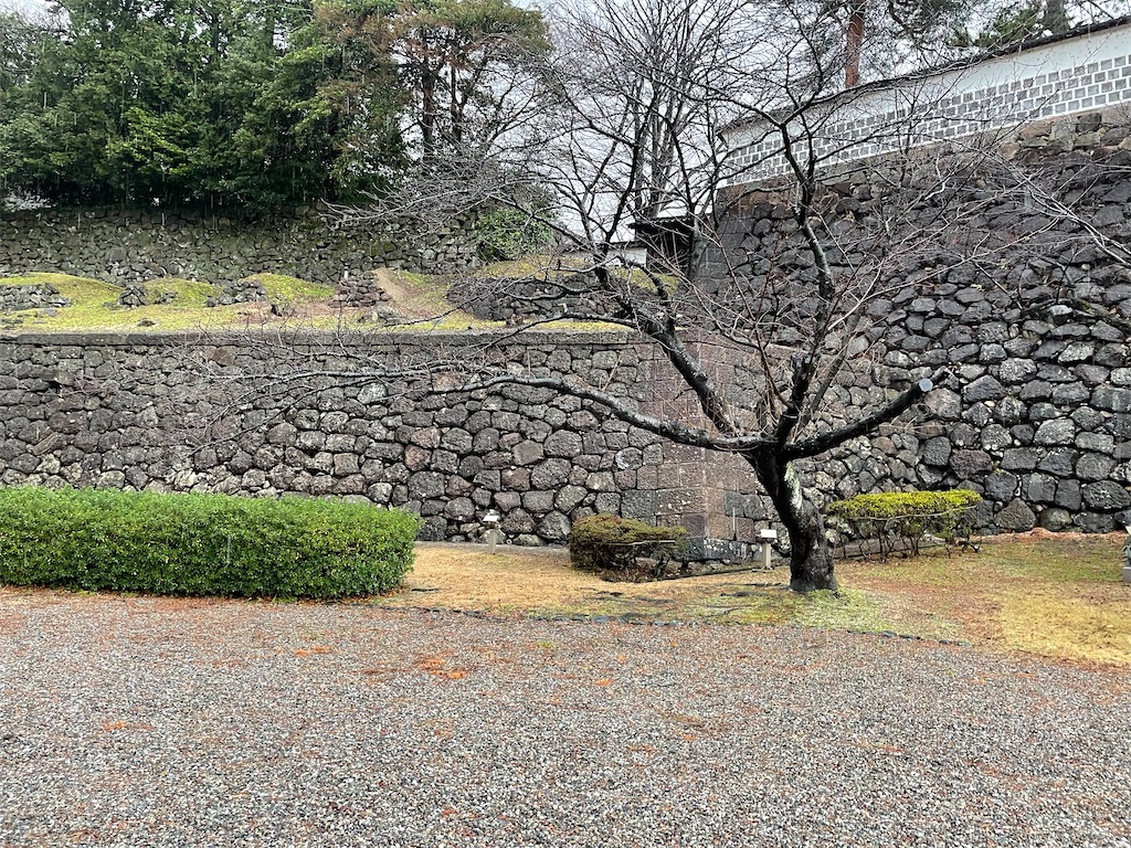 f:id:aoruchan501_1201:20240120232109j:image