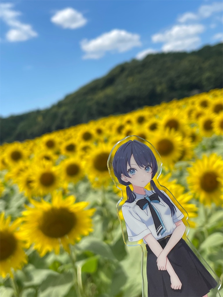 f:id:aoruchan501_1201:20241230172823j:image