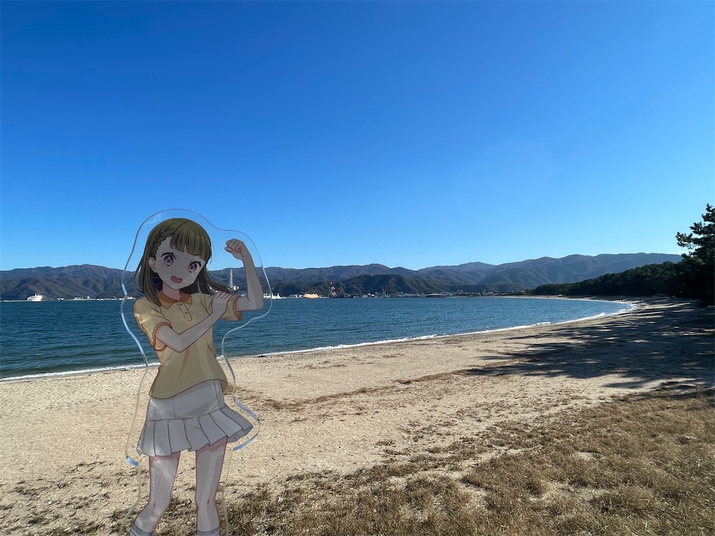 f:id:aoruchan501_1201:20250101025112j:image