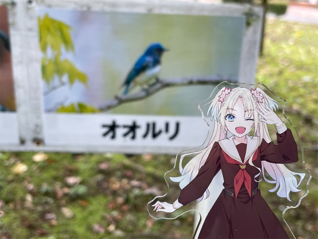 f:id:aoruchan501_1201:20250101143927j:image