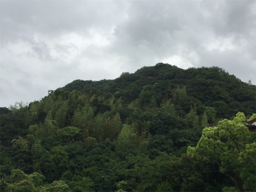 f:id:aosagiriver:20170607071217j:image