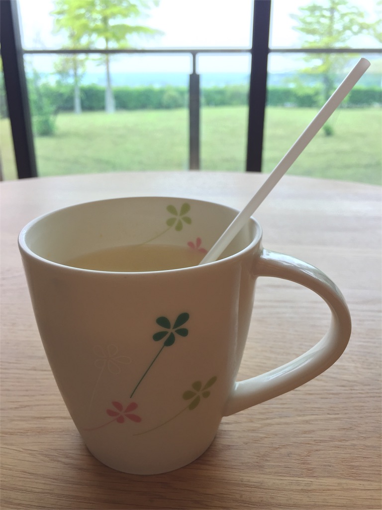 f:id:aosagiriver:20170607115358j:image