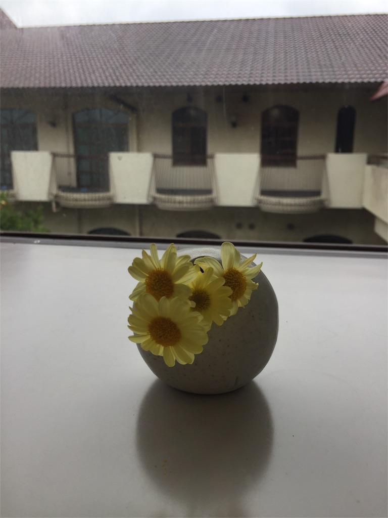 f:id:aosagiriver:20170607124523j:image