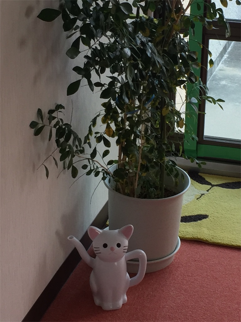 f:id:aosagiriver:20170609183455j:image