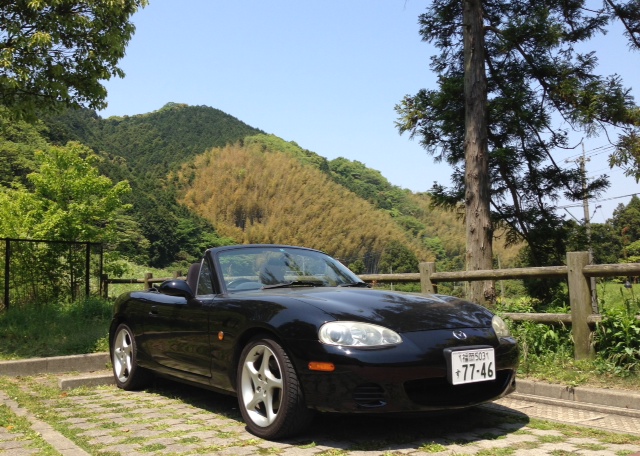 イメージ 7