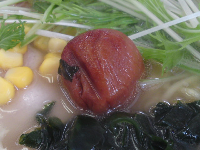 イメージ 5
