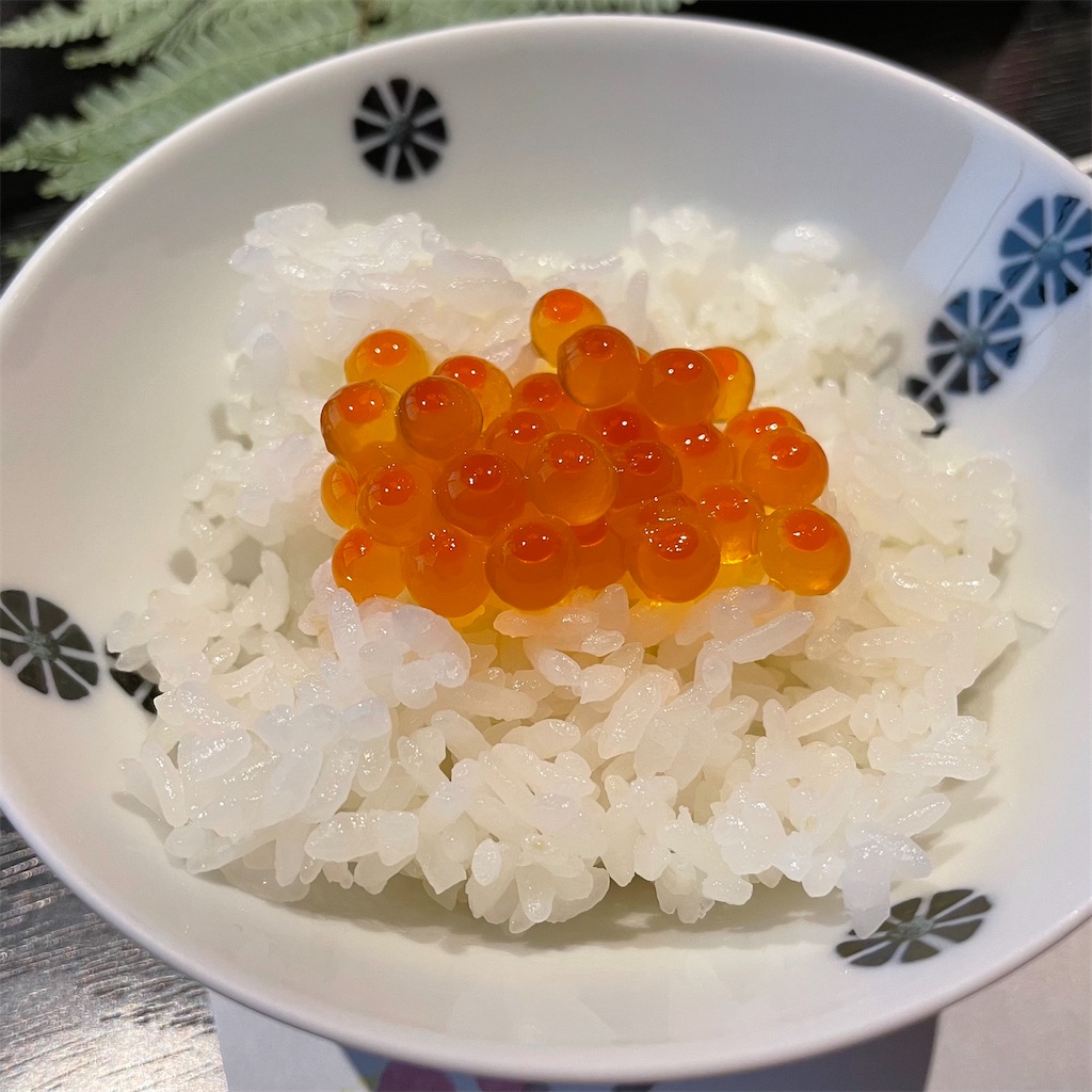 f:id:aosan1968:20210109025712j:image