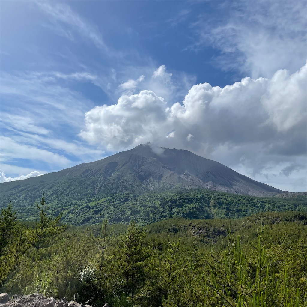f:id:aosan1968:20230608131230j:image