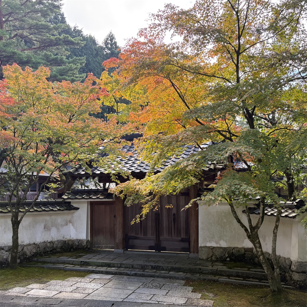 f:id:aosan1968:20251109225206j:image