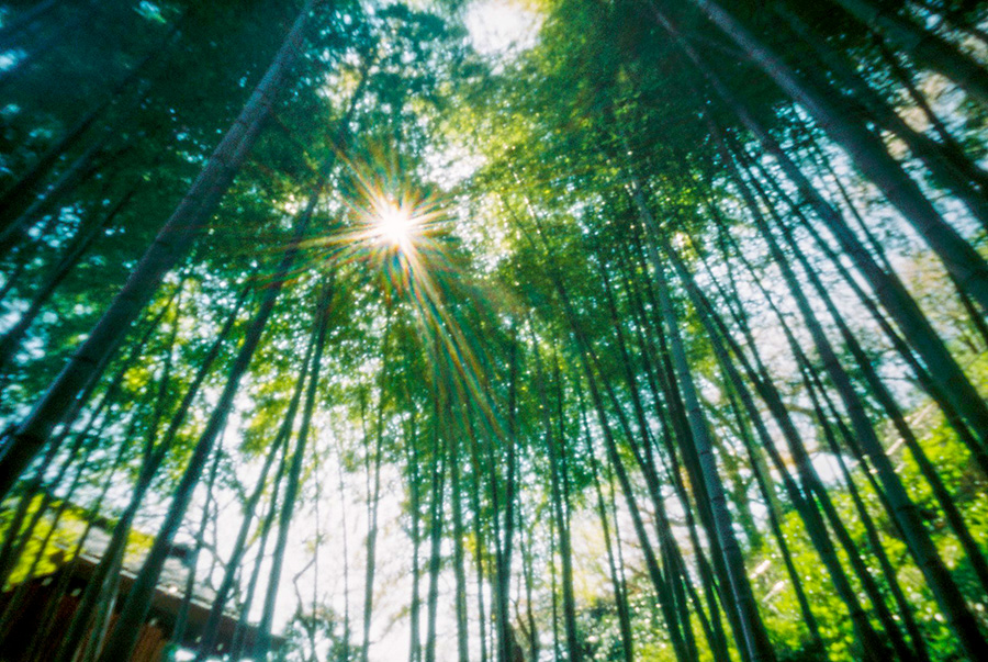 f:id:aoshima:20180428223936j:plain:w600
