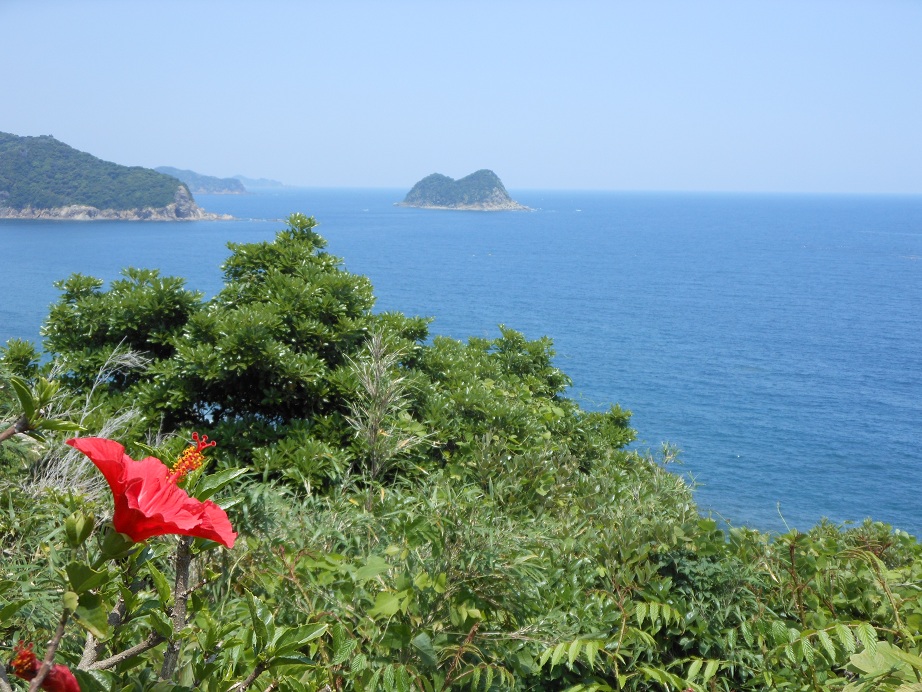 f:id:aotaterumegumi:20170617113839j:plain f:id:aotaterumegumi:20170617113839j:plain