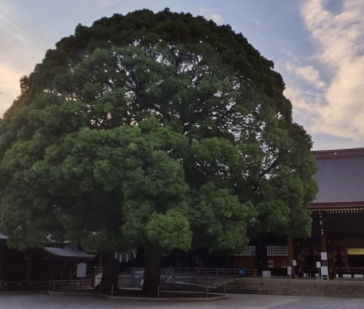 f:id:aotn:20210713224307j:plain