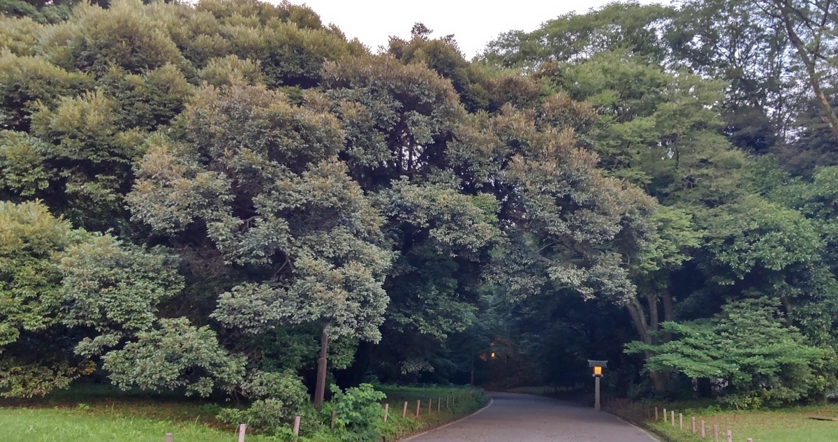 f:id:aotn:20210713224447j:plain