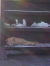 f:id:aotoao:20110823032516j:image