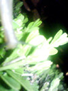 f:id:aotoao:20110823032521j:image
