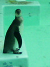 f:id:aotoao:20110823032530j:image