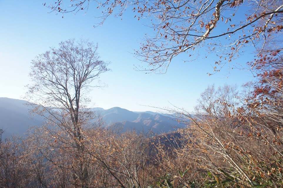 f:id:aotora2019:20191020104817j:plain f:id:aotora2019:20191020104817j:plain
