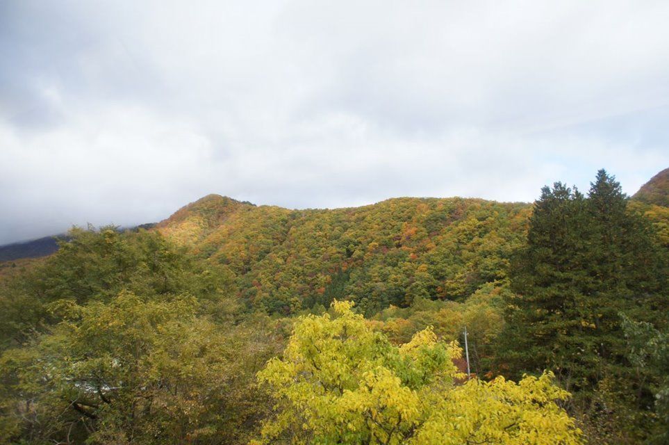 f:id:aotora2019:20191022230028j:plain f:id:aotora2019:20191022230028j:plain
