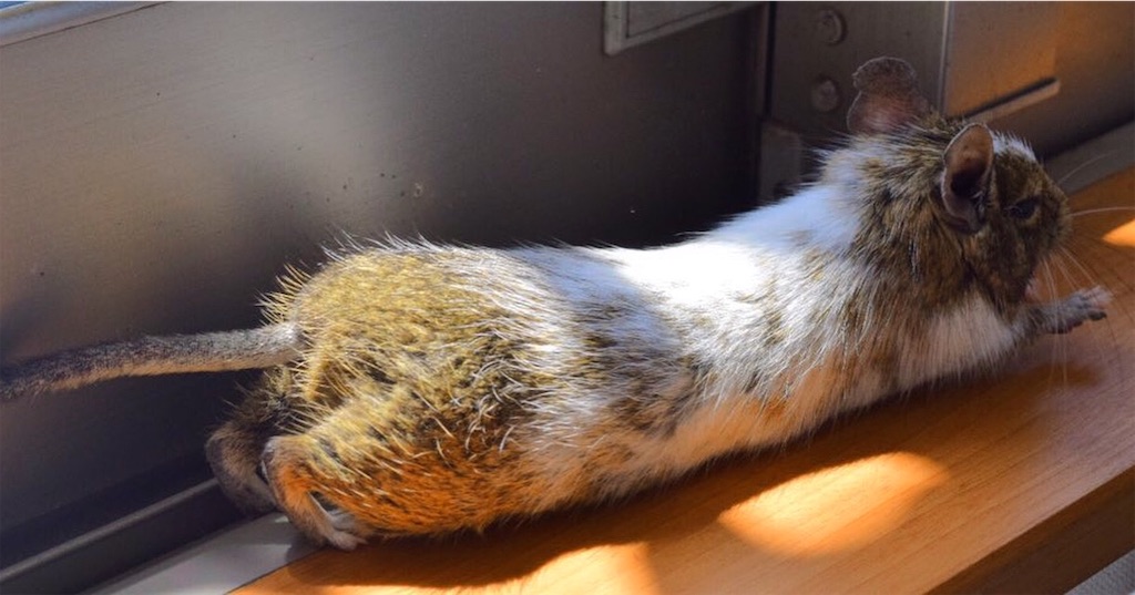 f:id:aotya25:20210715175038j:image f:id:aotya25:20210715175038j:image