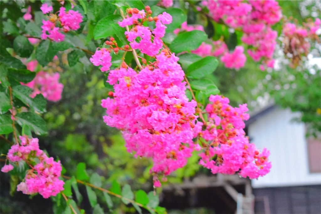 f:id:aotya25:20231016170024j:image f:id:aotya25:20231016170024j:image