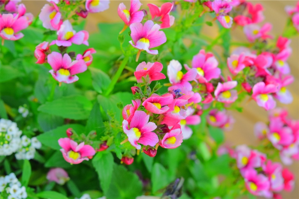 f:id:aotya25:20250109124140j:image f:id:aotya25:20250109124140j:image