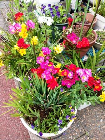 f:id:aoumiwatatsumi:20210331225830j:plain